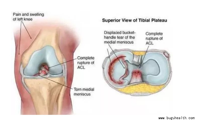 ����ҽѧ���ա����ǿ��������ǿ���