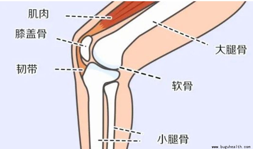 ����ҽѧ���ա����ǿ��������ǿ���