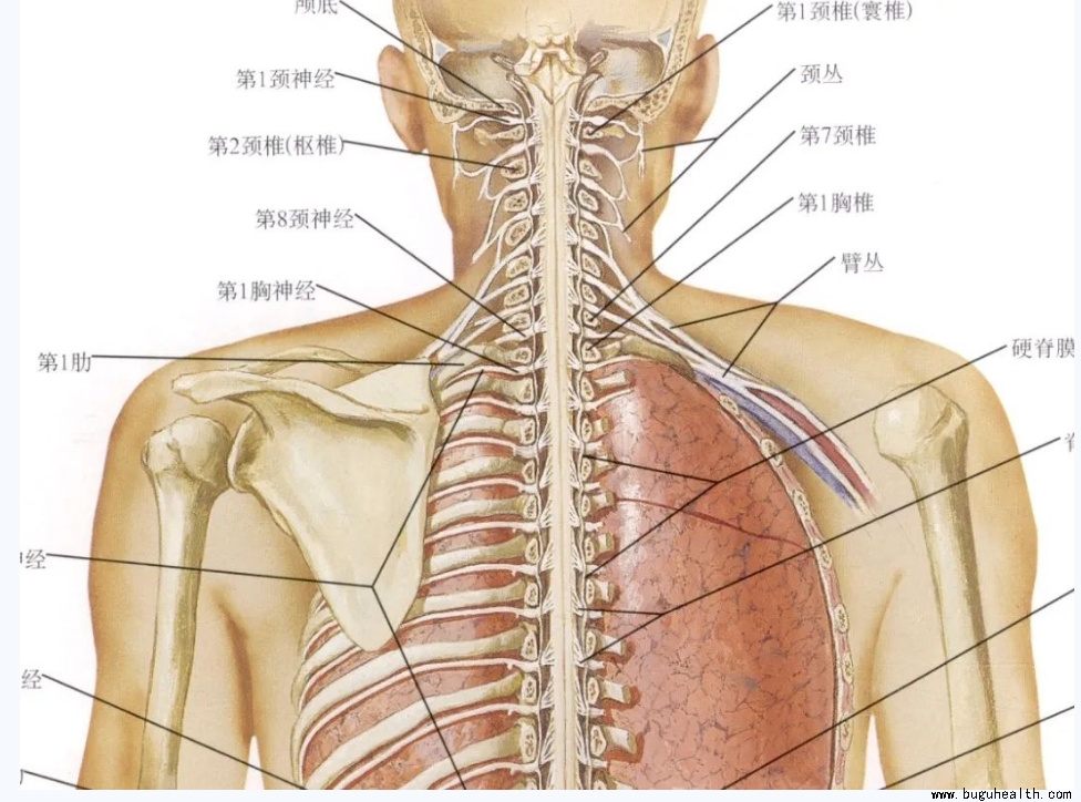 ����ҽѧ���ա����ǿ��������ǿ���