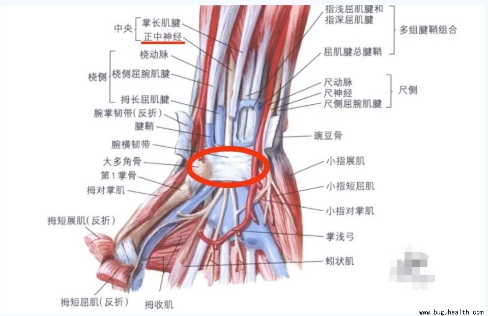 ����ҽѧ���ա����ǿ��������ǿ���