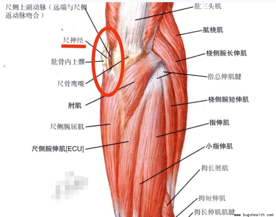 ����ҽѧ���ա����ǿ��������ǿ���