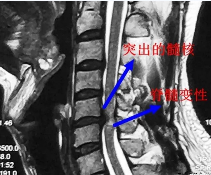 ����ҽѧ���ա����ǿ��������ǿ���