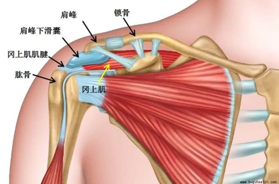 ����ҽѧ���ա����ǿ��������ǿ���