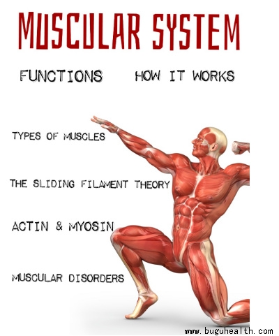 ����ҽѧ���ա����ǿ��������ǿ���