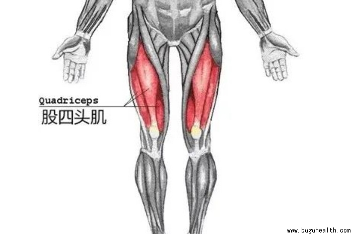 ǰ�����ؽ���������ѵ��