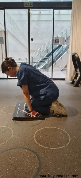 ���������Ƕ�