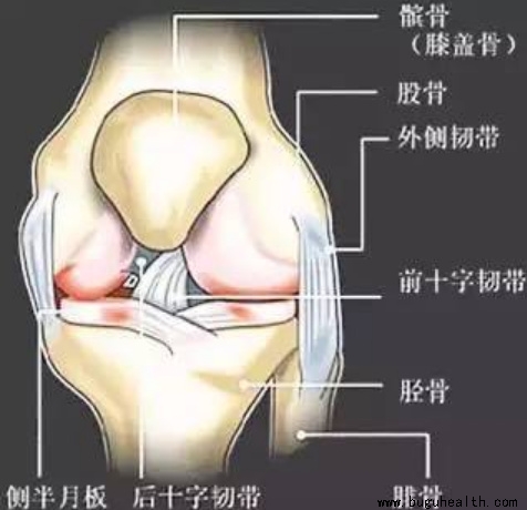 �ƹ�����