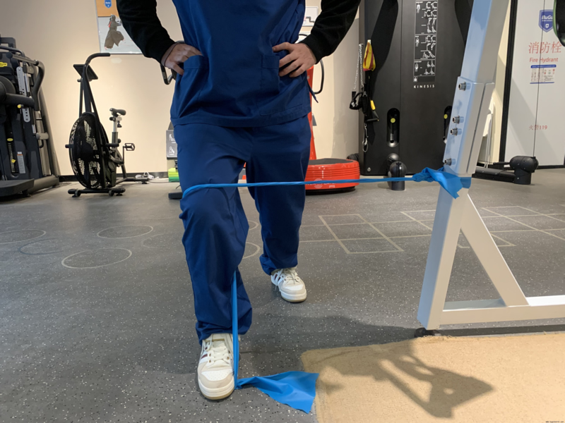 ������֫����