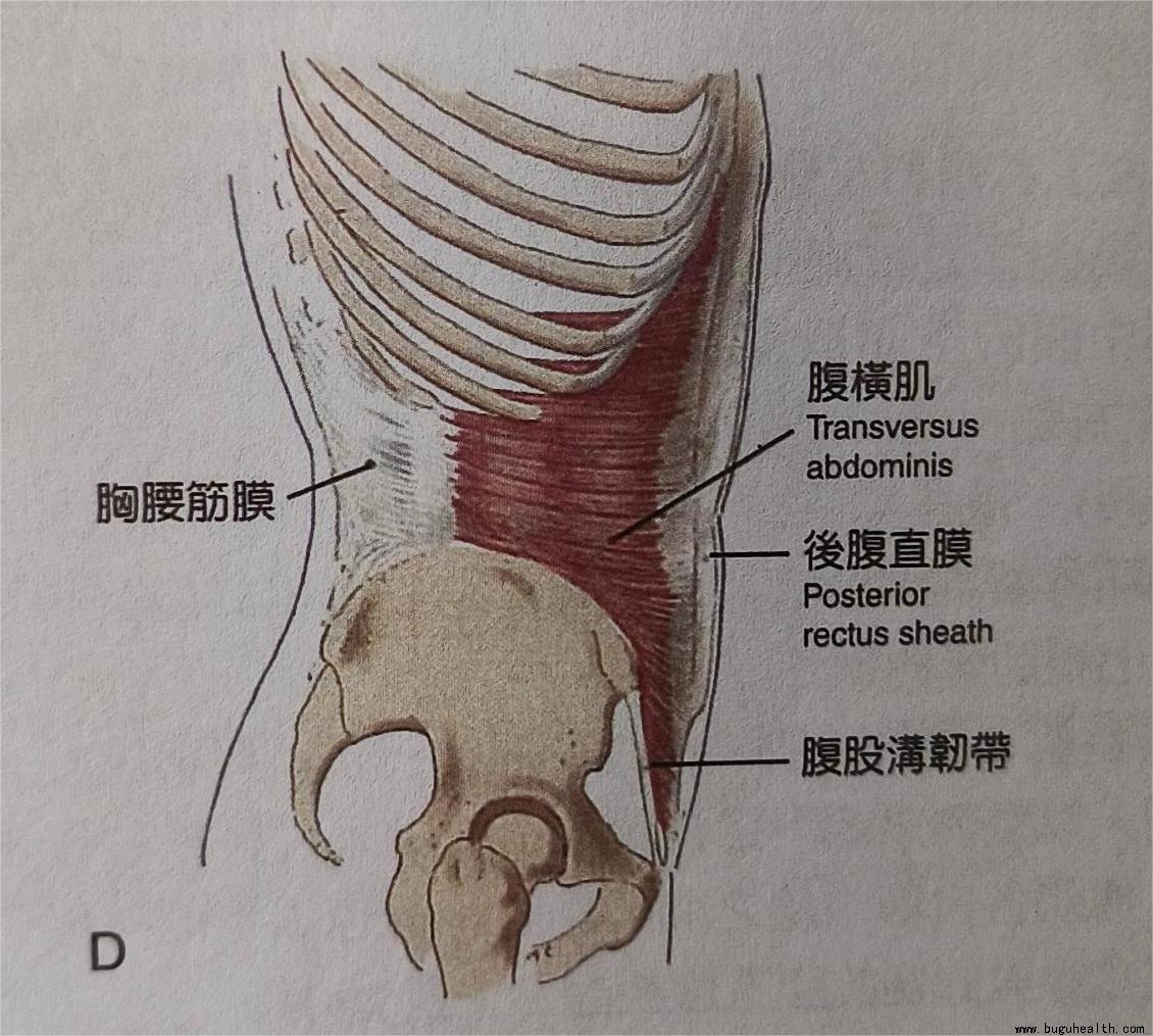 �������ǿ������ģ����ἡ����
