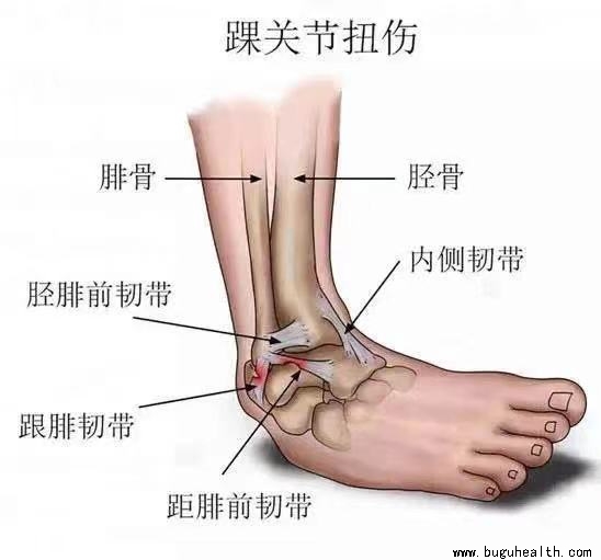 ����ҽѧ���ա����ǿ��������ǿ������˽�