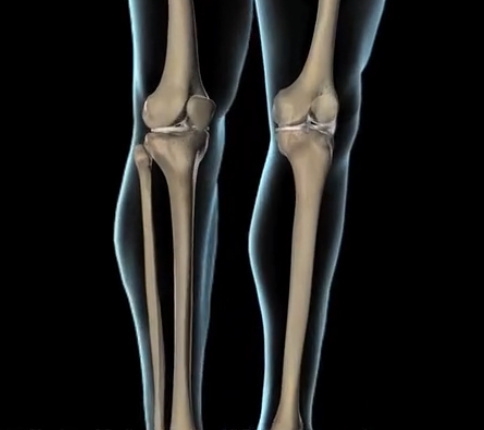 ����ҽѧ���ա����ǿ��������ǿ�����ǰ���ؽ�����