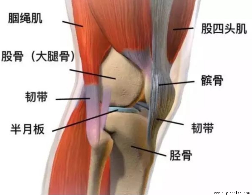 ����ҽѧ���ա����ǿ��������ǿ���