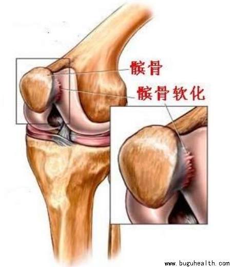 ����ҽѧ���ա����ǿ��������ǿ������ƹ�����